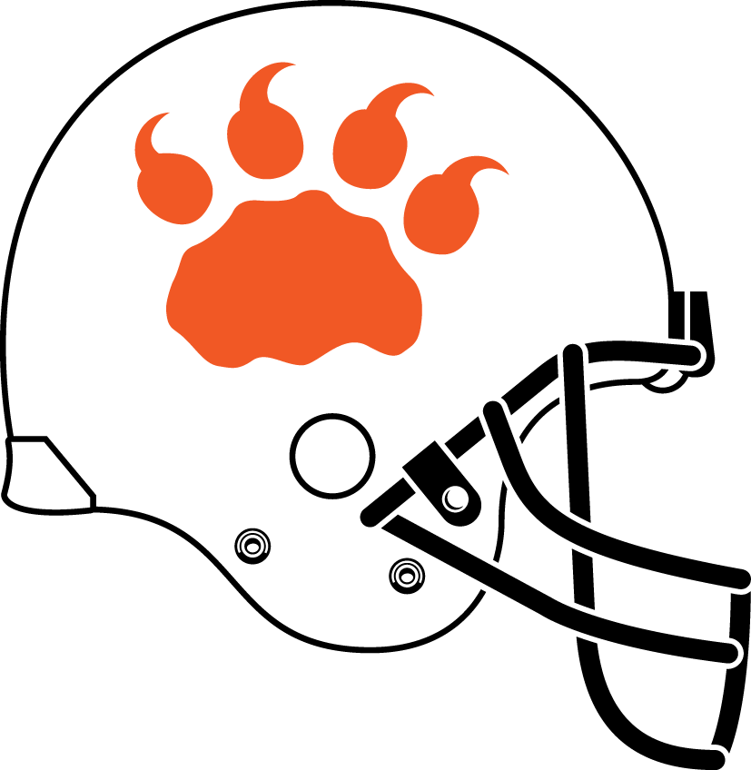 bc lions 2012 helmet logo iron on transfers for T-shirts